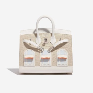 Birkin 20 Faubourg Matte Alligator / Togo / Epsom / Swift White / Beton / Orange H / Blue Brume / Craie