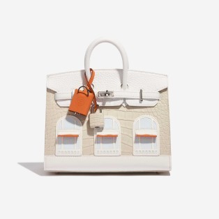 Birkin 20 Faubourg Matte Alligator / Togo / Epsom / Swift White / Beton / Orange H / Blue Brume / Craie