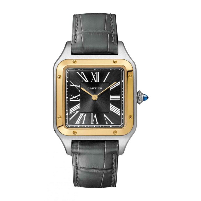 Cartier Santos-Dumont Men's watch W2SA0015