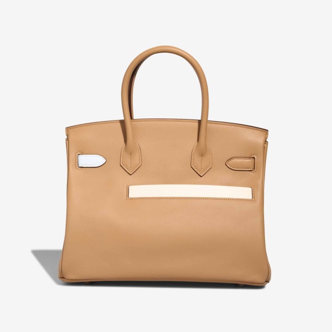 Birkin 30 Swift Chai / Lime / Bleu Brume / Mauve Sylvestre / Nata