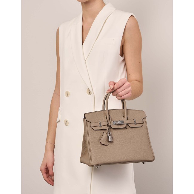 Birkin 25 Verso Togo Trench / Bougainvillier